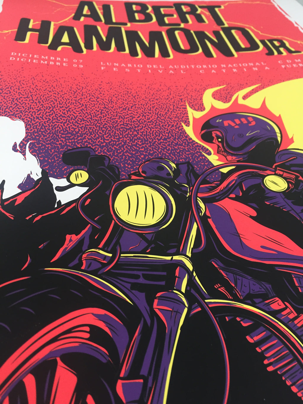 Albert Hammond Jr. Mexico 2017 x Wes Art Studio Gig Poster